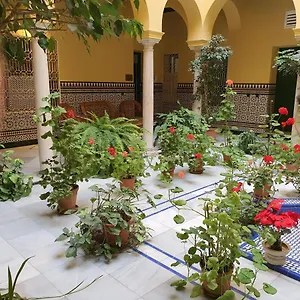 Estudio Centro Con Cocina Sevilla